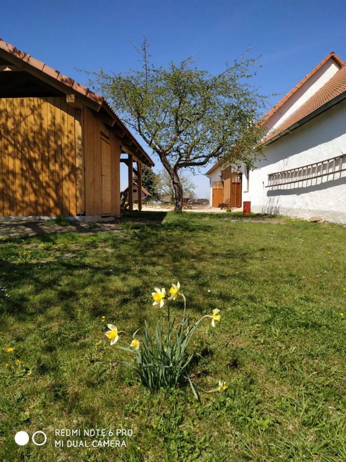 Ubytovani Ve Stodole Stráž nad Nežárkou Eksteriør bilde